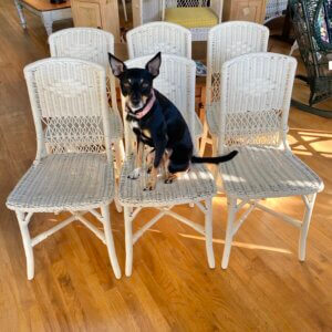 Six American wicker chairs #27